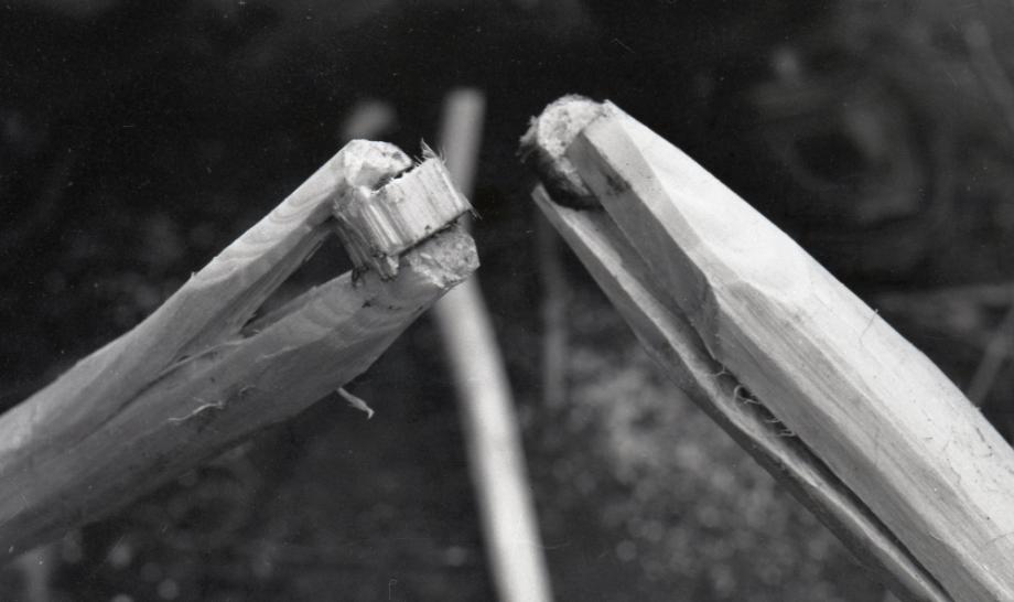 김운기 컬렉션이미지