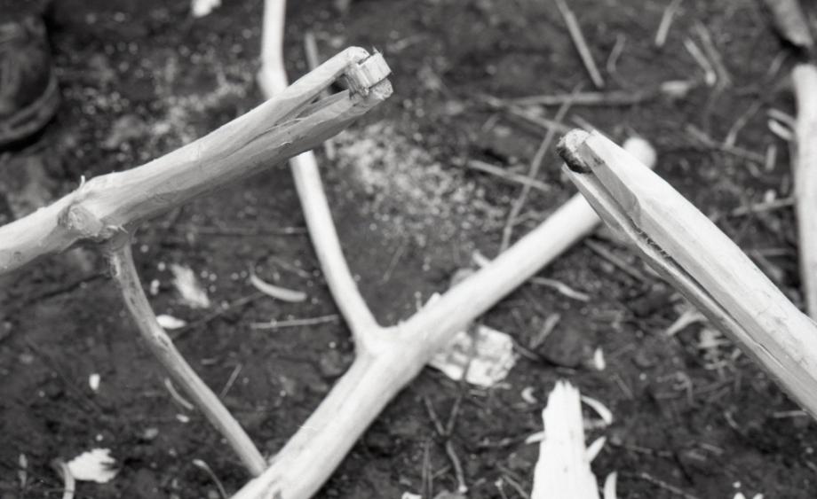 김운기 컬렉션이미지