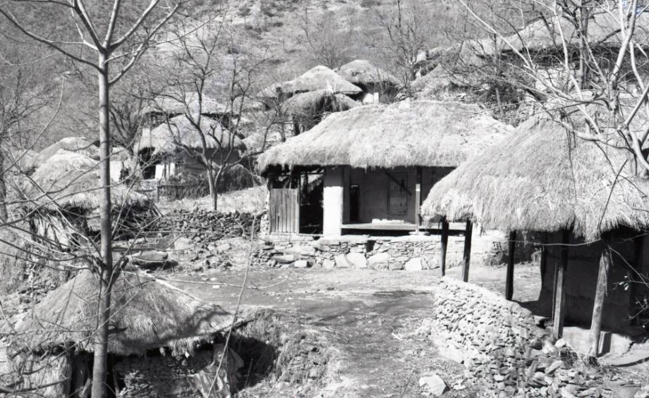 김운기 컬렉션이미지