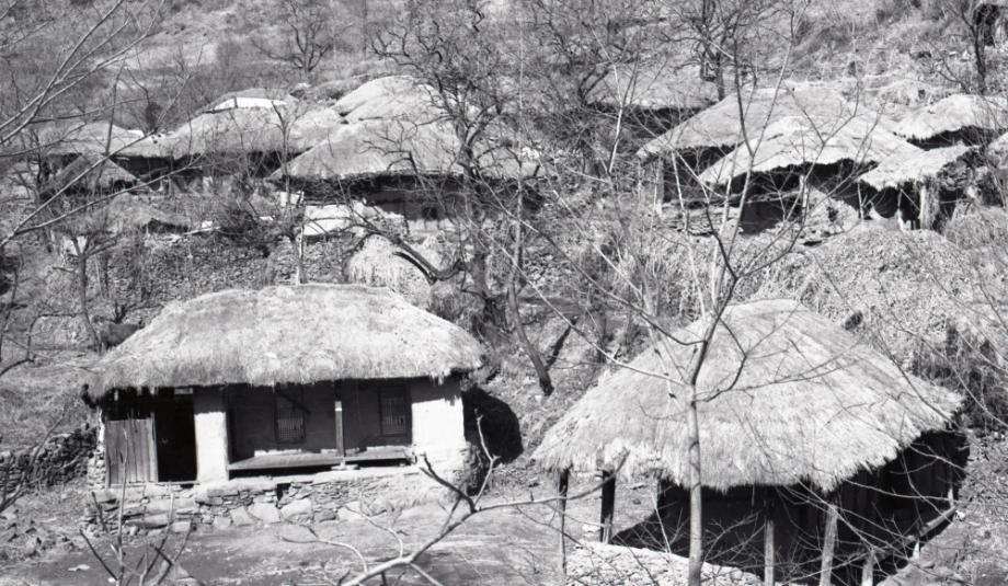 김운기 컬렉션이미지