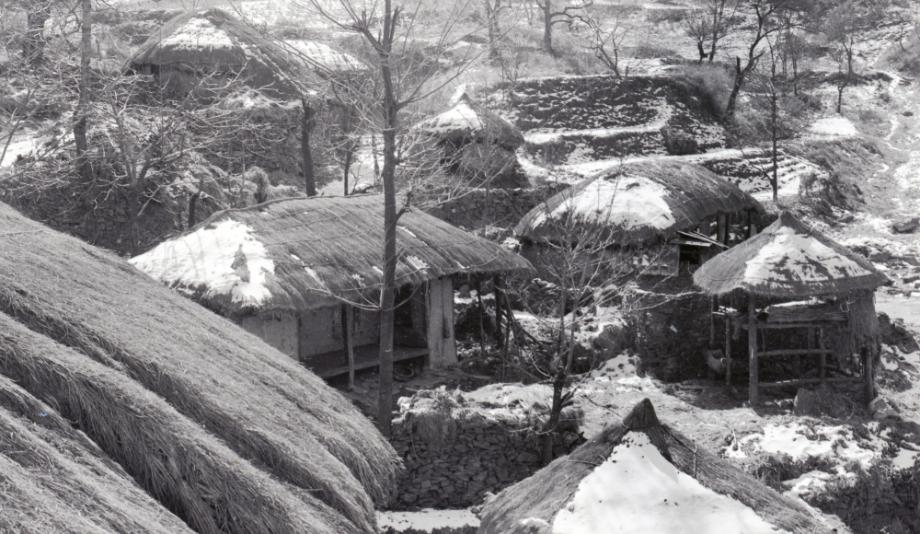 김운기 컬렉션이미지