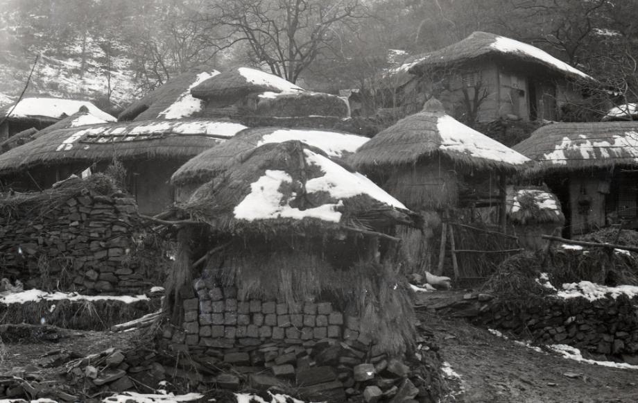 김운기 컬렉션이미지