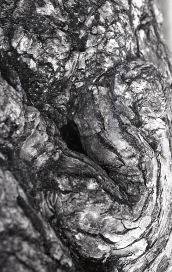 김운기 컬렉션이미지