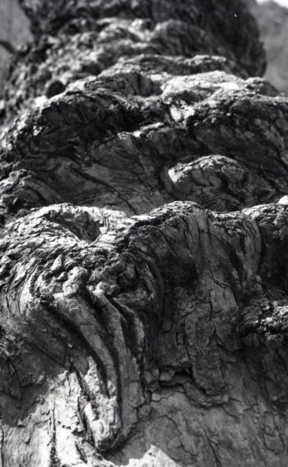 김운기 컬렉션이미지