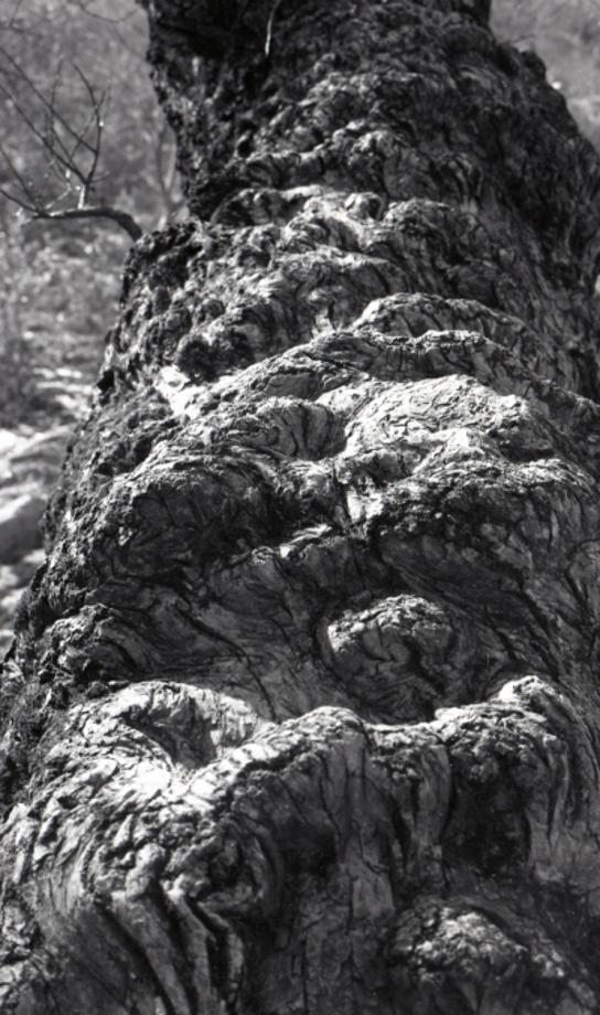 김운기 컬렉션이미지