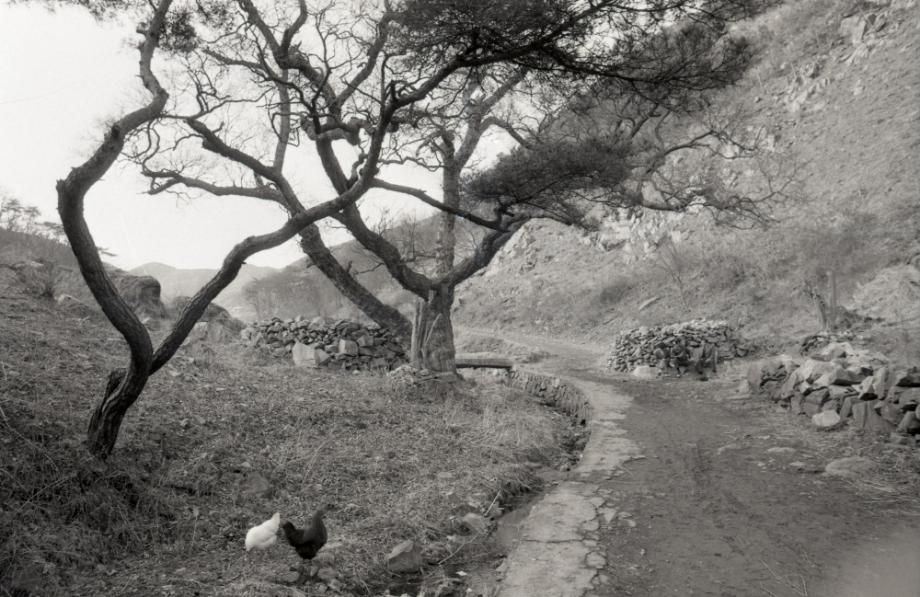 김운기 컬렉션이미지