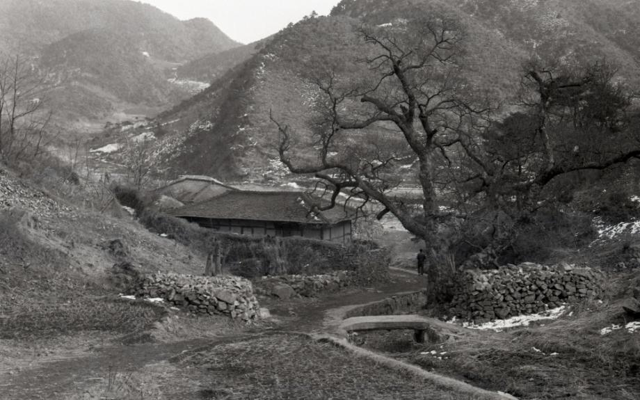 김운기 컬렉션이미지