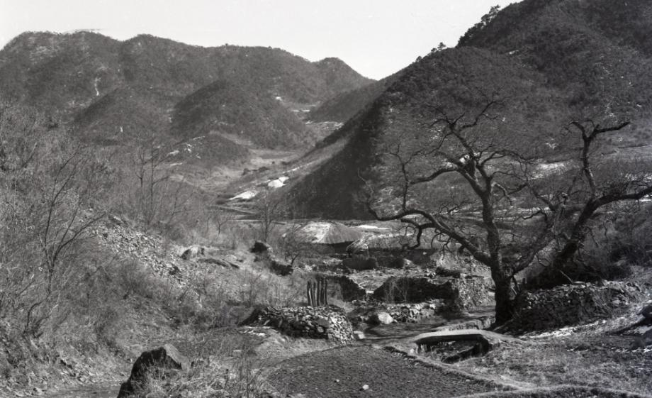 김운기 컬렉션이미지