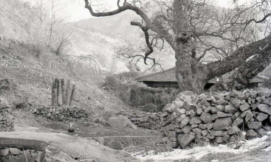 김운기 컬렉션이미지