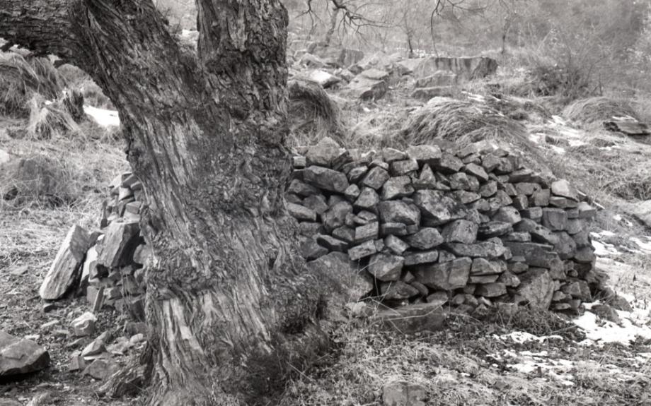 김운기 컬렉션이미지