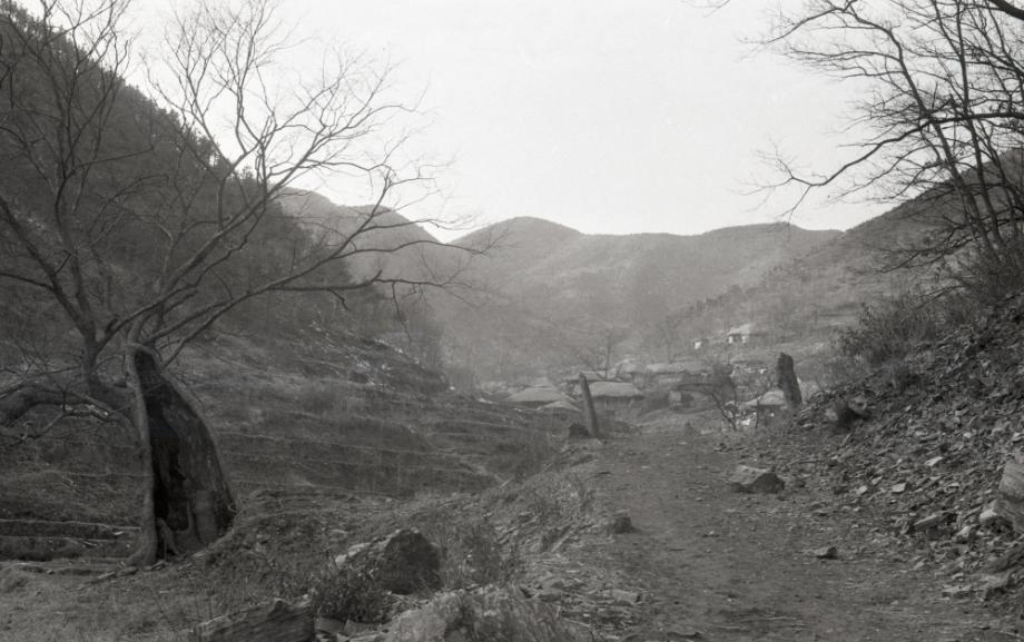 김운기 컬렉션이미지