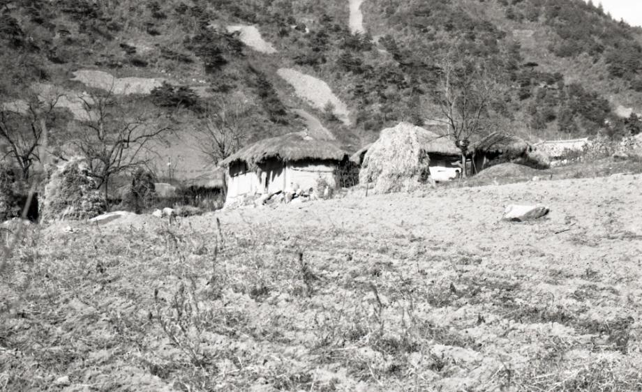 김운기 컬렉션이미지