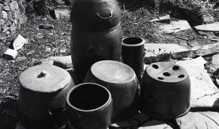 김운기 컬렉션이미지