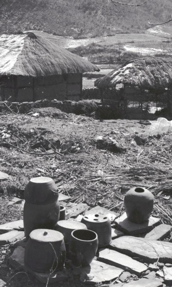 김운기 컬렉션이미지