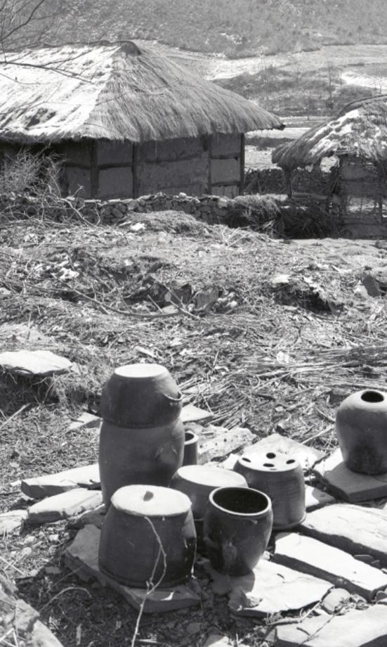 김운기 컬렉션이미지