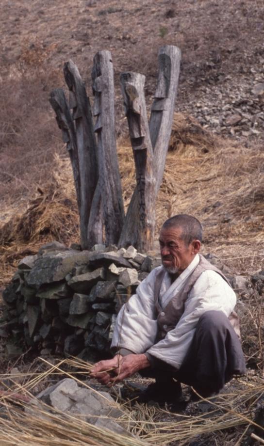 김운기 컬렉션이미지