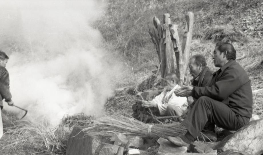 김운기 컬렉션이미지