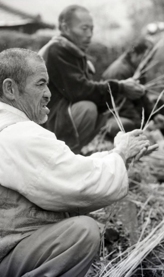 김운기 컬렉션이미지
