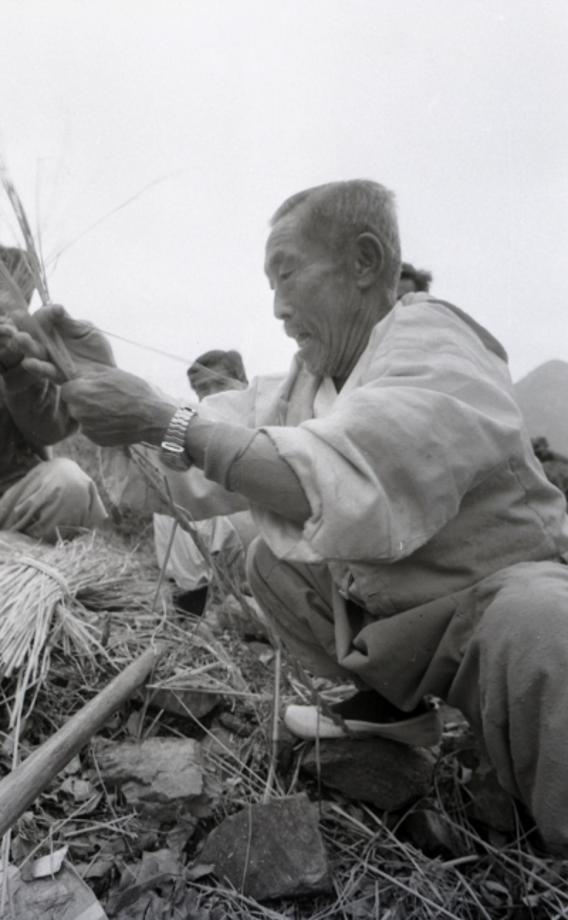 김운기 컬렉션이미지