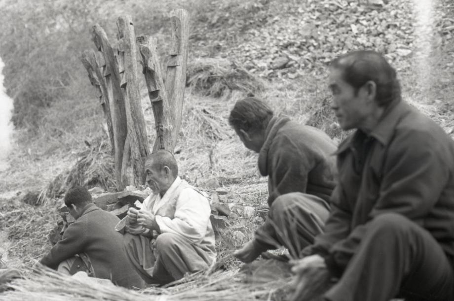 김운기 컬렉션이미지