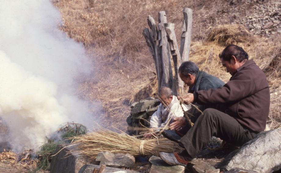 김운기 컬렉션이미지