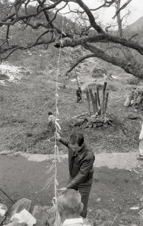 김운기 컬렉션이미지