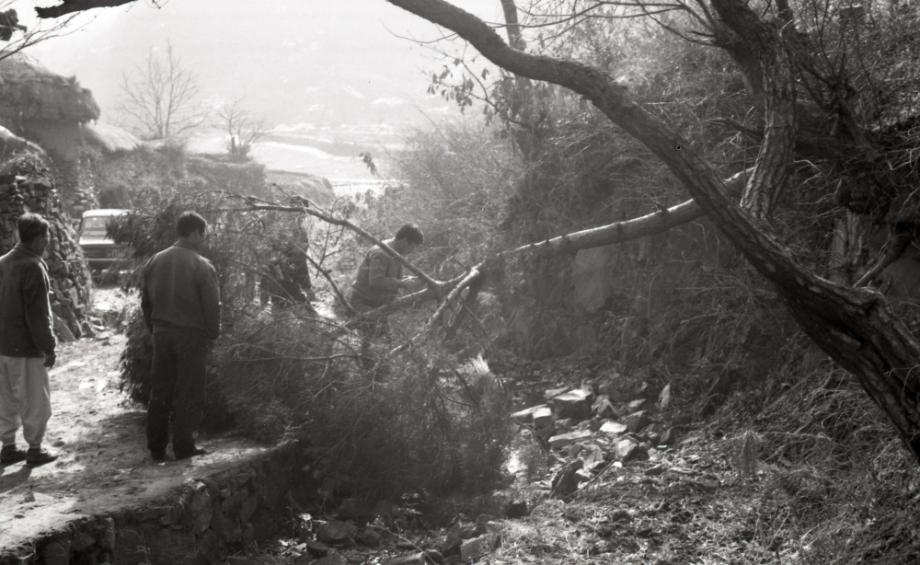 김운기 컬렉션이미지