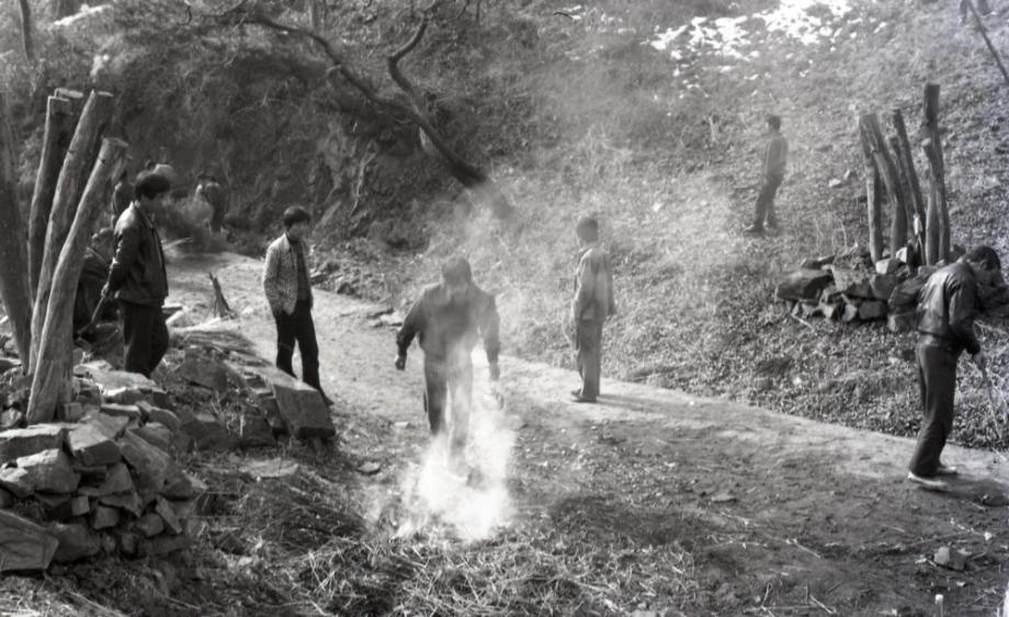 김운기 컬렉션이미지