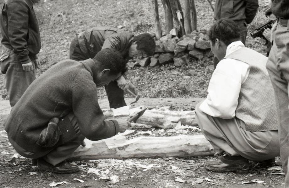 김운기 컬렉션이미지