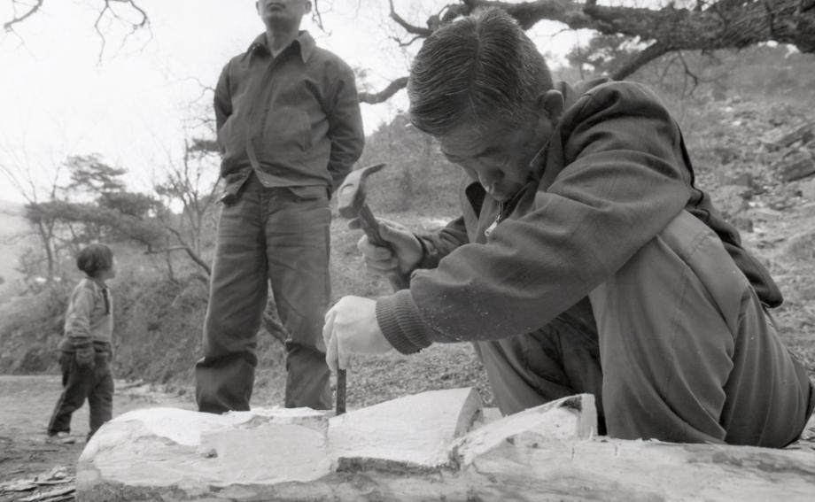 김운기 컬렉션이미지