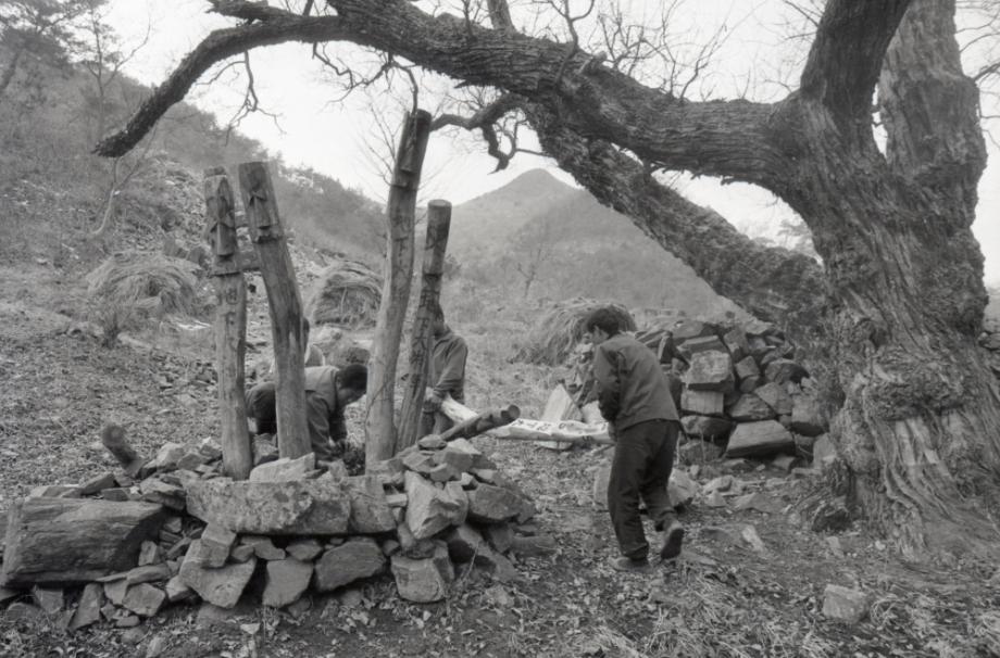 김운기 컬렉션이미지