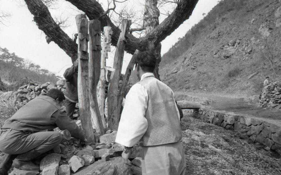 김운기 컬렉션이미지