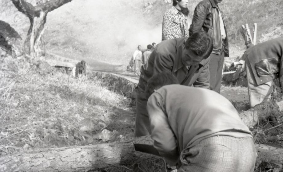 김운기 컬렉션이미지