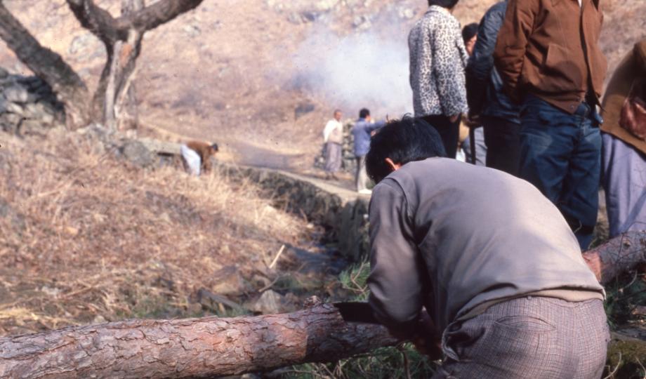 김운기 컬렉션이미지
