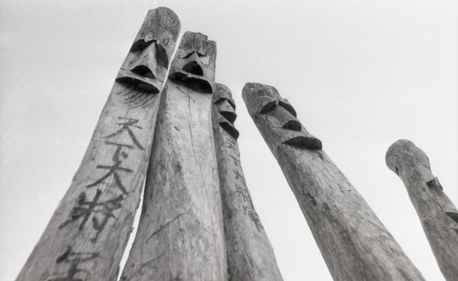 김운기 컬렉션이미지