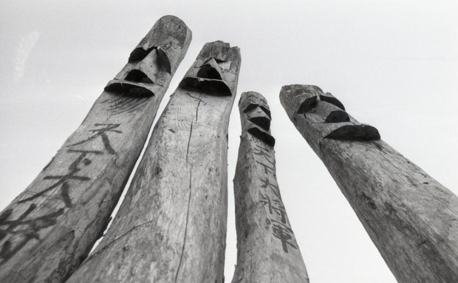 김운기 컬렉션이미지