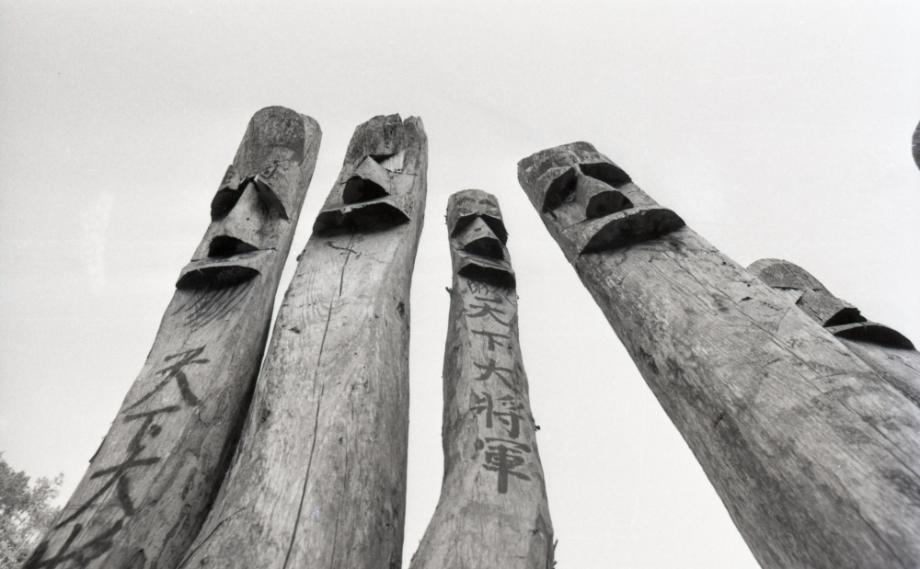 김운기 컬렉션이미지