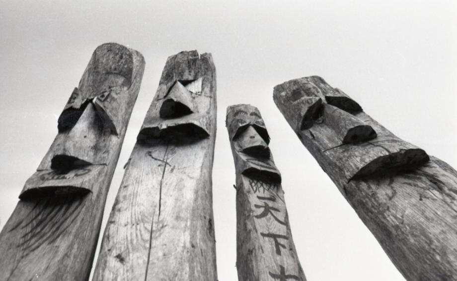 김운기 컬렉션이미지