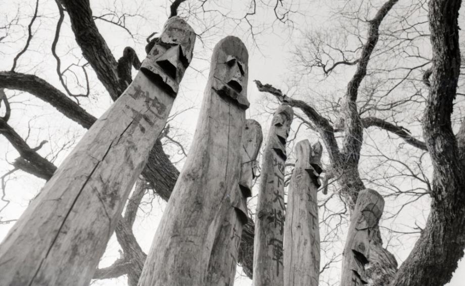 김운기 컬렉션이미지