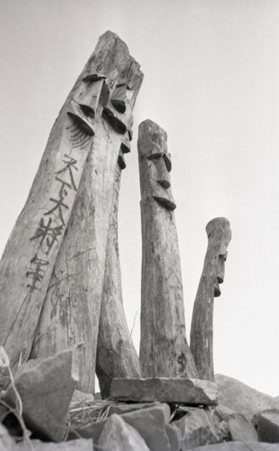 김운기 컬렉션이미지