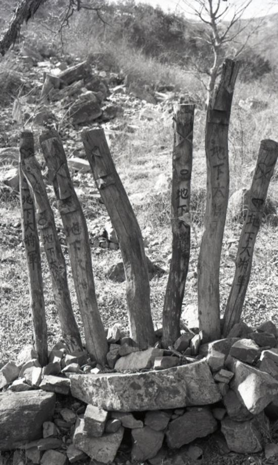 김운기 컬렉션이미지