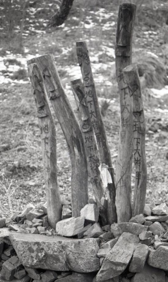 김운기 컬렉션이미지