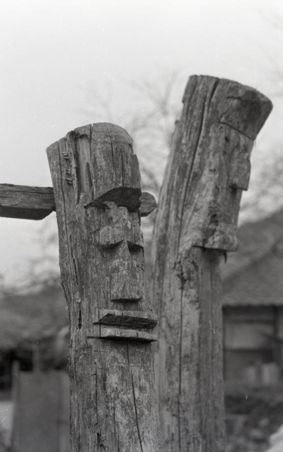 김운기 컬렉션이미지