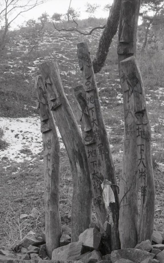 김운기 컬렉션이미지