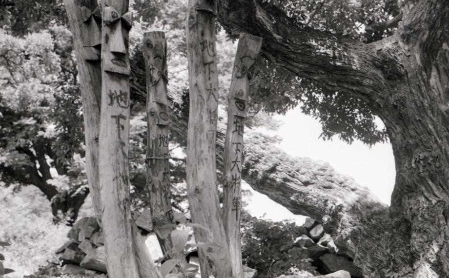 김운기 컬렉션이미지