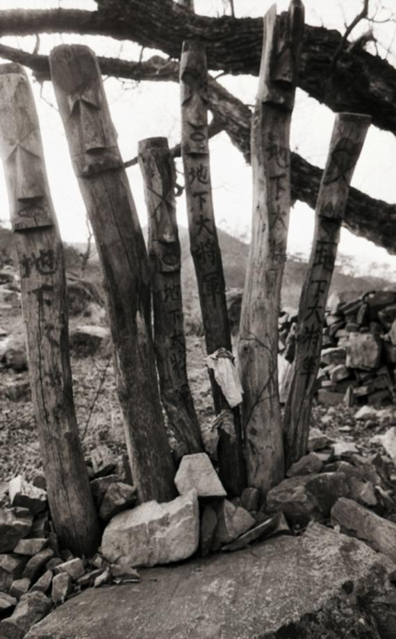 김운기 컬렉션이미지