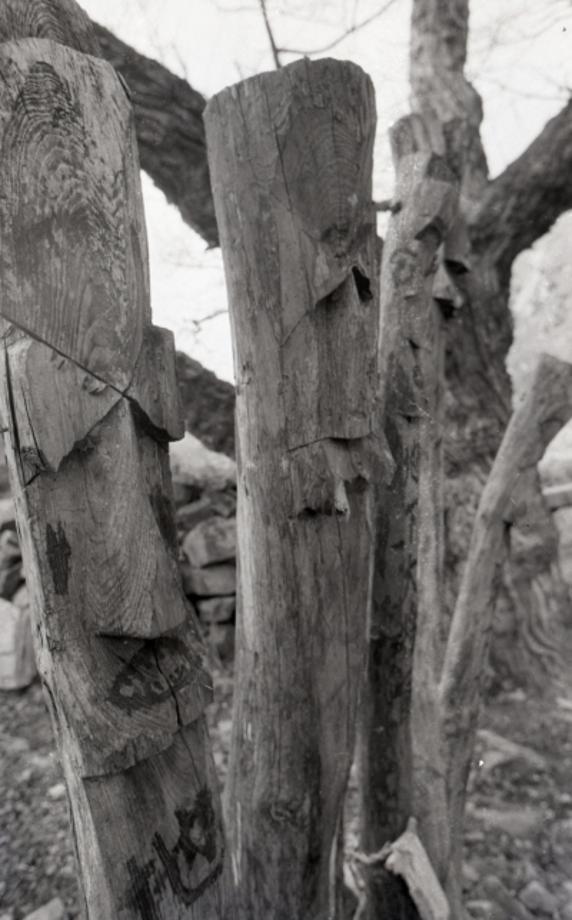 김운기 컬렉션이미지