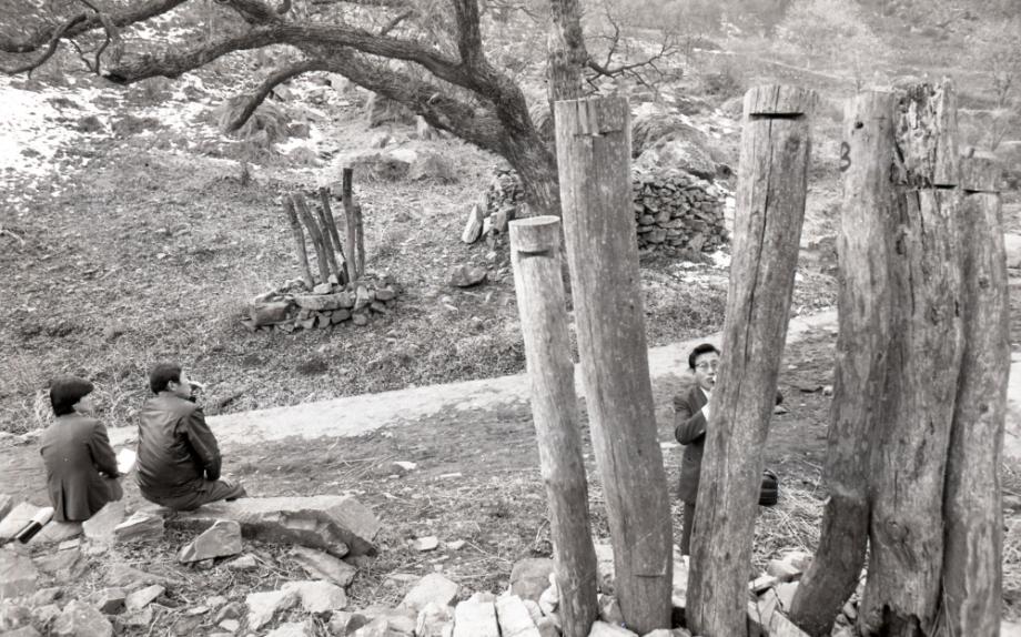 김운기 컬렉션이미지