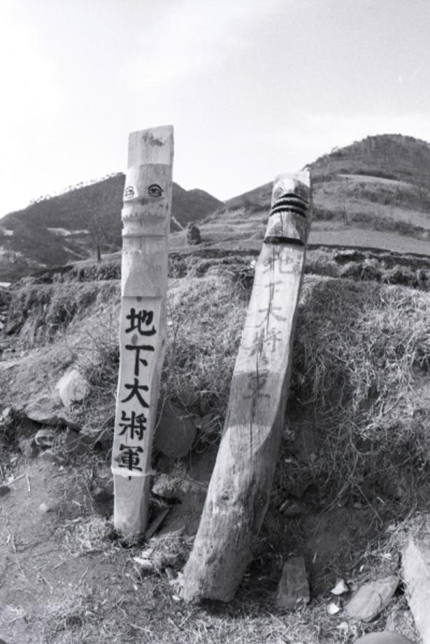 김운기 컬렉션이미지