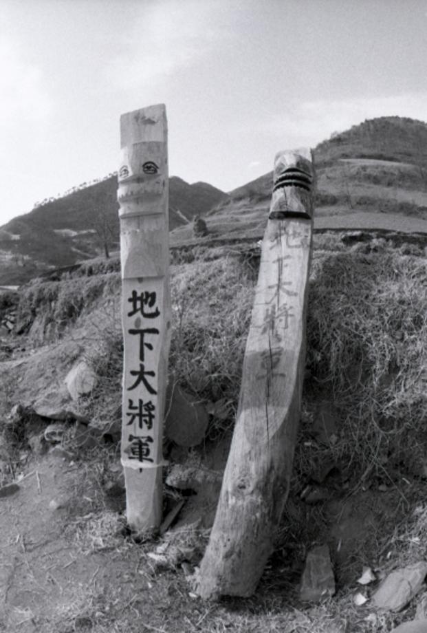 김운기 컬렉션이미지